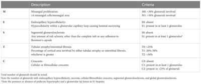 Contemporary review of IgA nephropathy